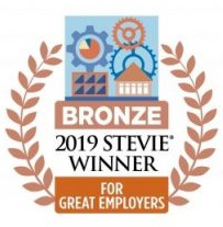 Stevie Bronze 2019 Award