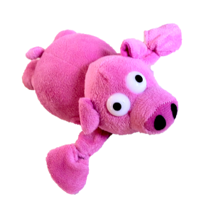 Experiential Pig