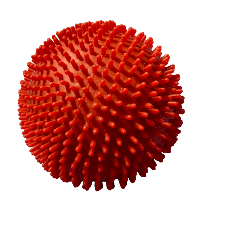 A Partner of Choice for the Development of Leadership