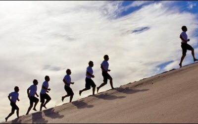 5 Behaviours of a Cohesive Team