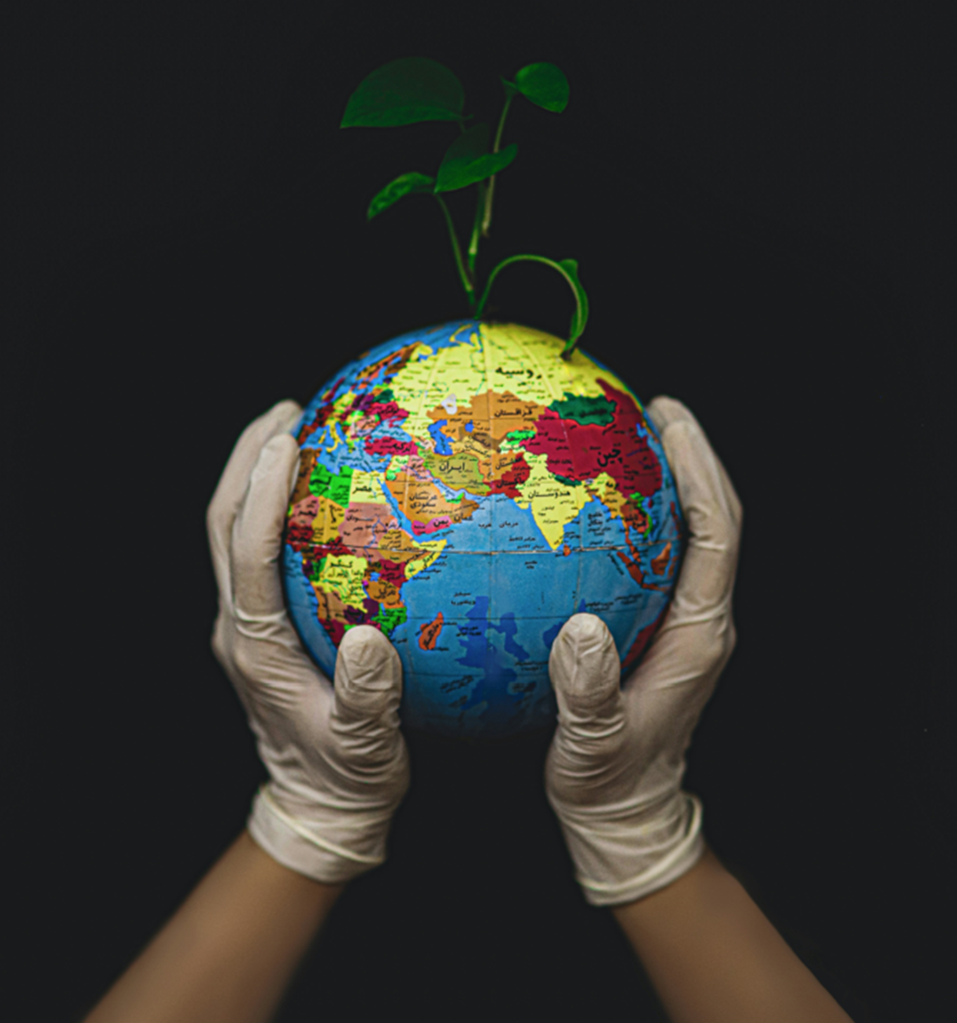 EarthDay2024 Earth Day